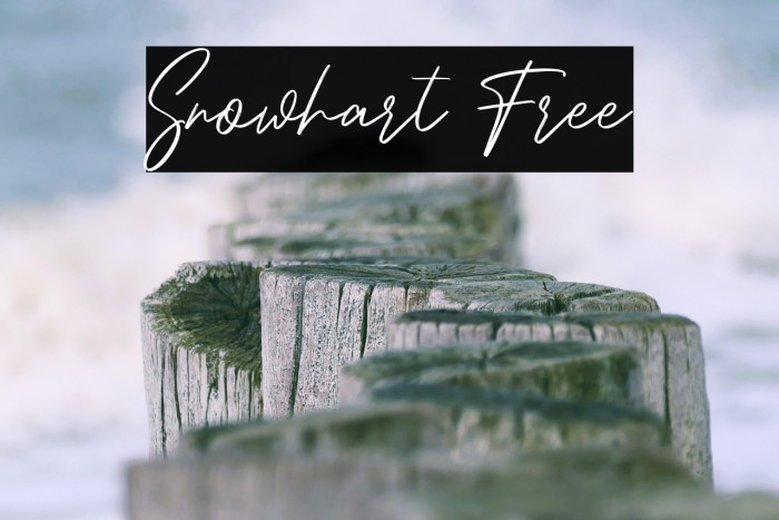 Snowhart Free Example 2