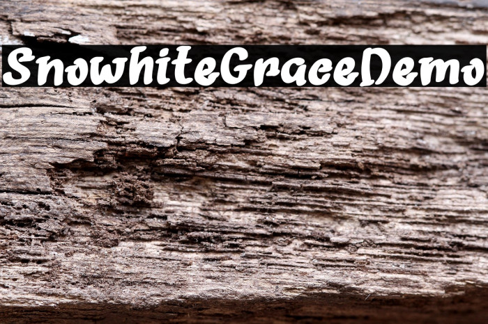 Snowhite Grace Demo Example 1
