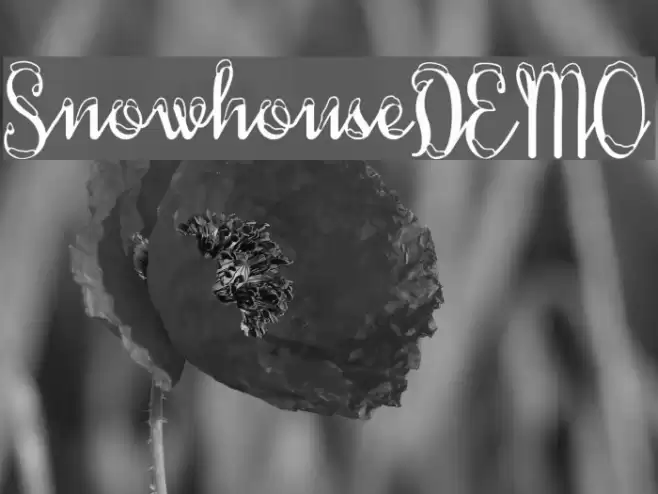 SnowhouseDEMO Font examples