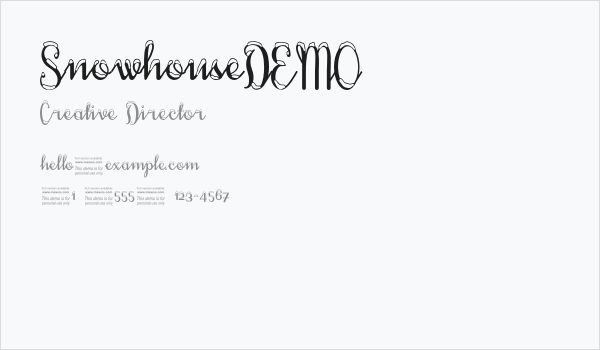 SnowhouseDEMO Business Card