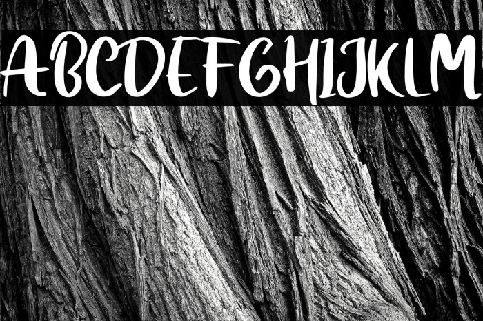 Snowing Personal Use Example 1