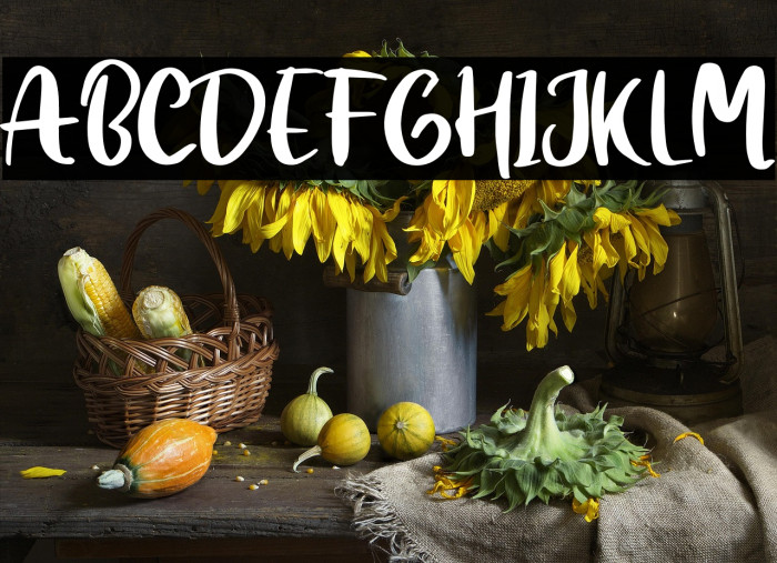 Snowing Personal Use Example 2