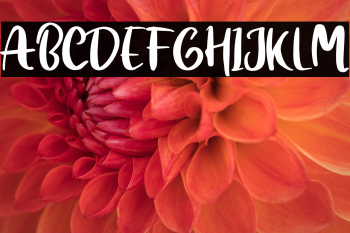 Snowing Personal Use Example 3