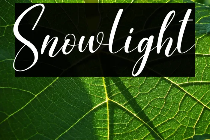 Snowlight Example 1