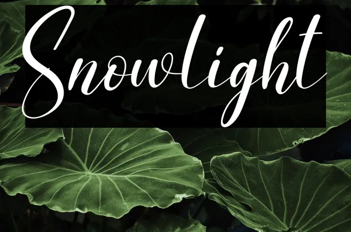 Snowlight Example 2