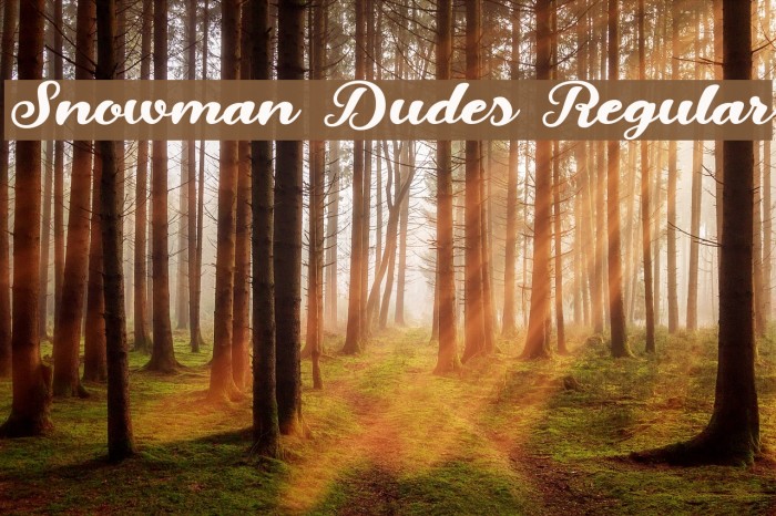 Snowman Dudes Regular Font examples