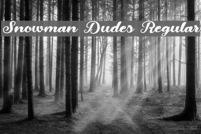 Snowman Dudes Regular Font examples
