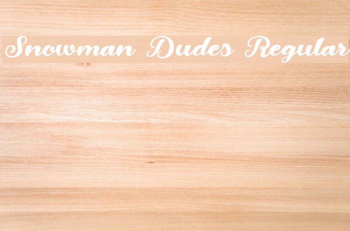 Snowman Dudes Regular Font examples