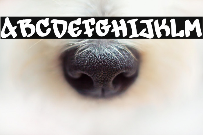 Snowman Graffiti Demo Example 2