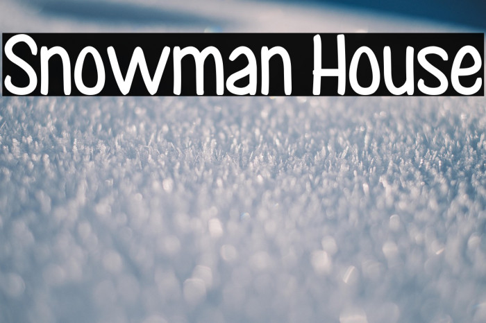 Snowman House Example 1