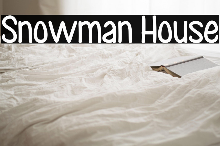 Snowman House Example 3