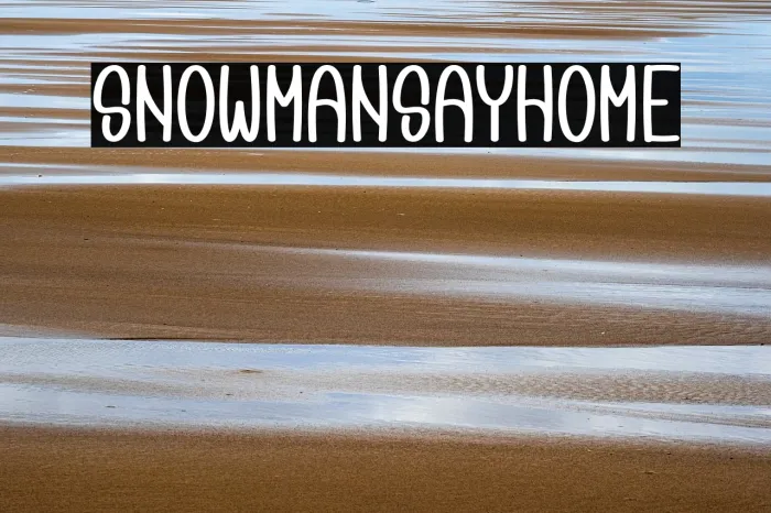 Snowman Stayhome Example 2