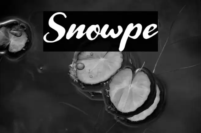Snowpe Font examples