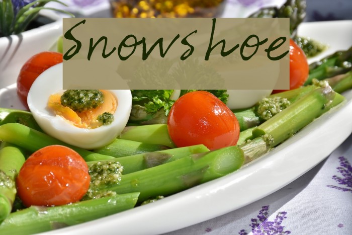 Snowshoe Font examples