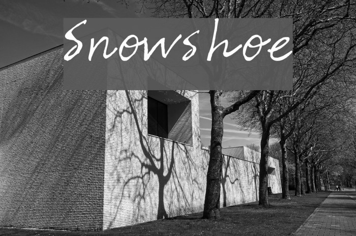 Snowshoe Font examples