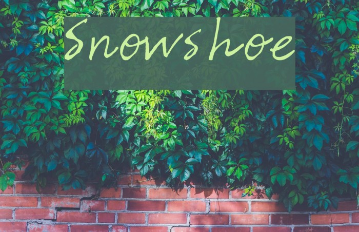 Snowshoe Font examples