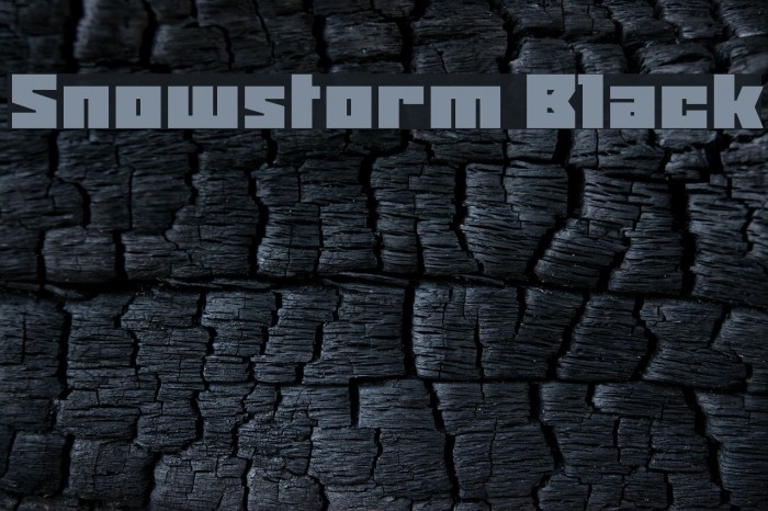 Snowstorm Black Font examples