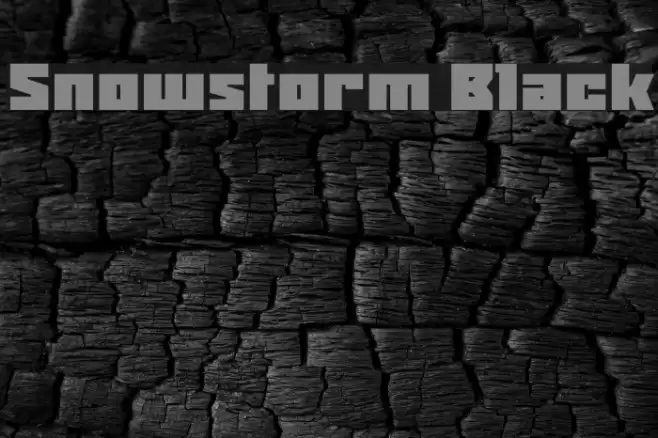 Snowstorm Black Font examples