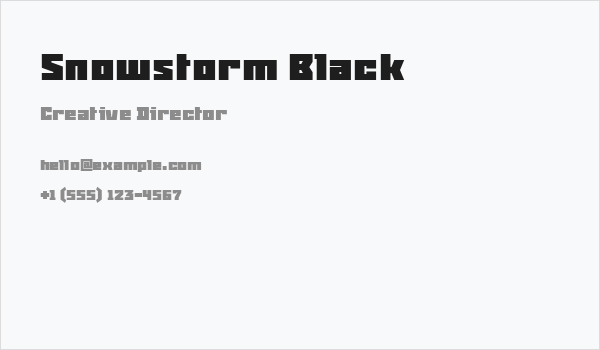 Snowstorm Black Business Card