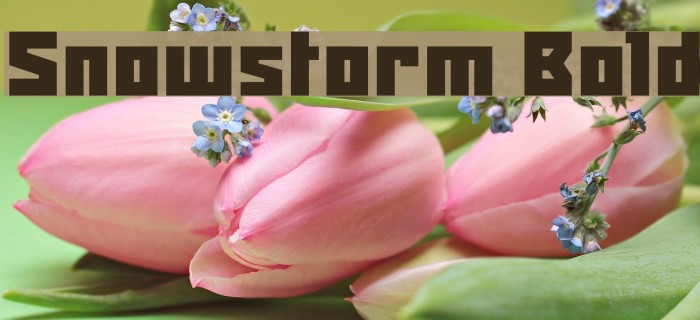 Snowstorm Bold Font examples