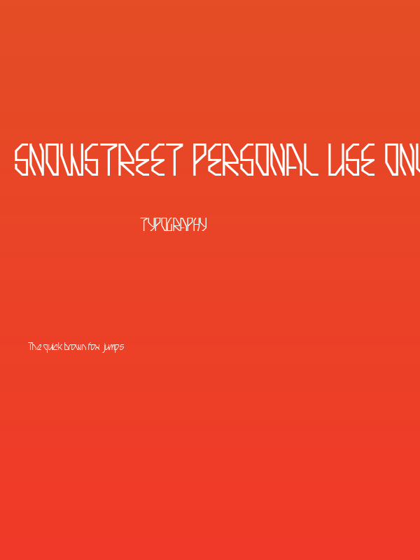 Snowstreet Personal Use Only Poster