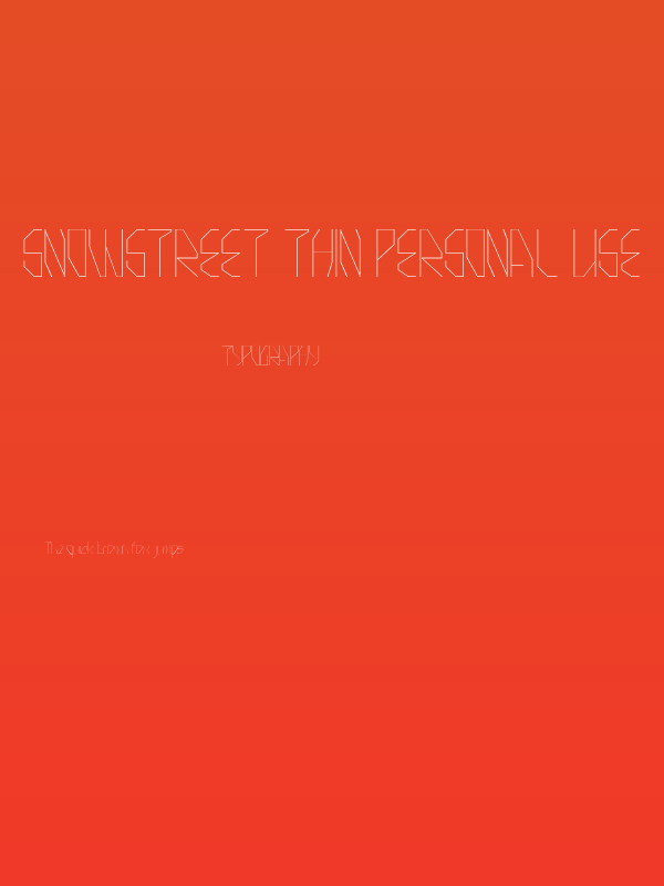 Snowstreet Thin Personal Use Poster