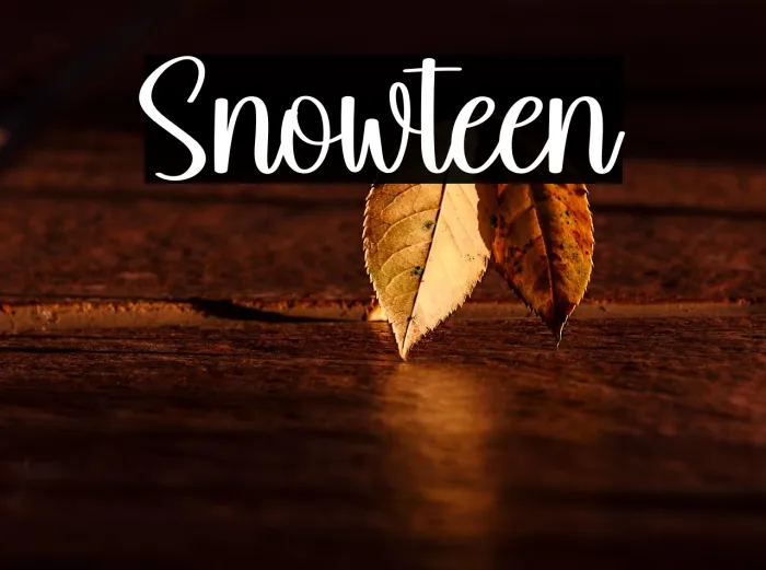 Snowteen Example 1