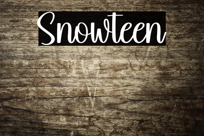 Snowteen Example 2