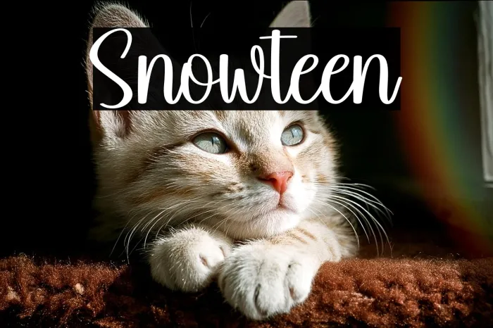 Snowteen Example 3