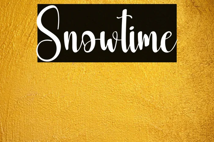 Snowtime Example 1