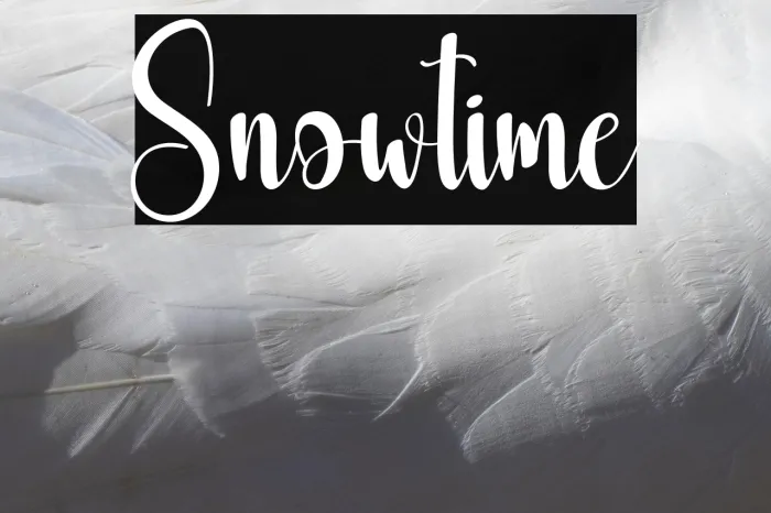 Snowtime Example 2