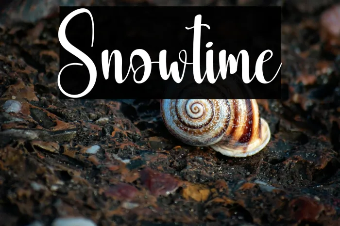 Snowtime Example 3