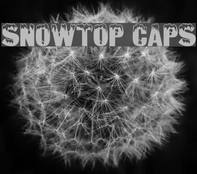 Snowtop Caps Font examples