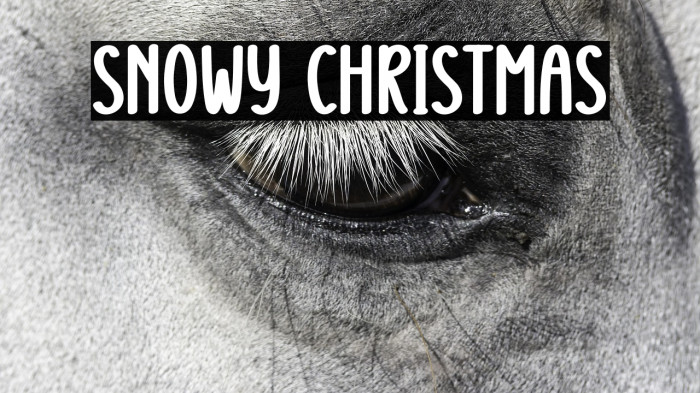 Snowy Christmas Example 1