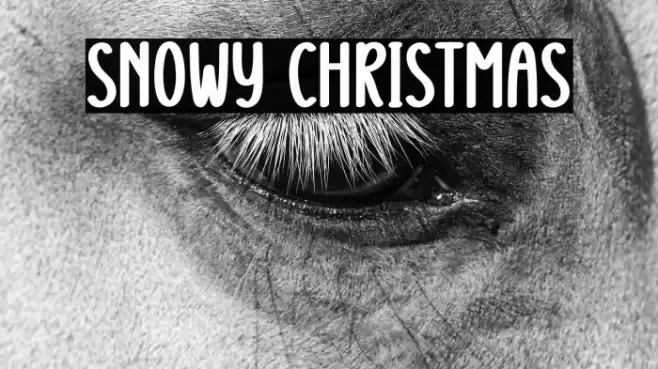 Snowy Christmas 字体 examples