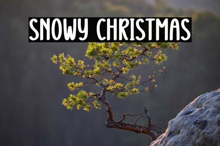 Snowy Christmas Example 2