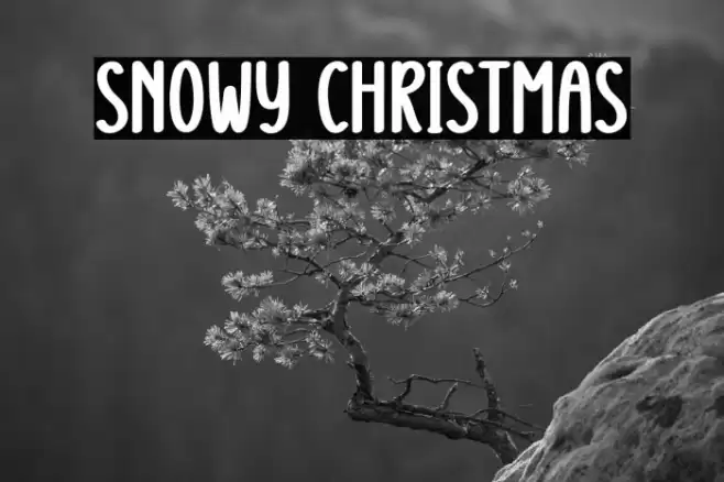 Snowy Christmas 字体 examples