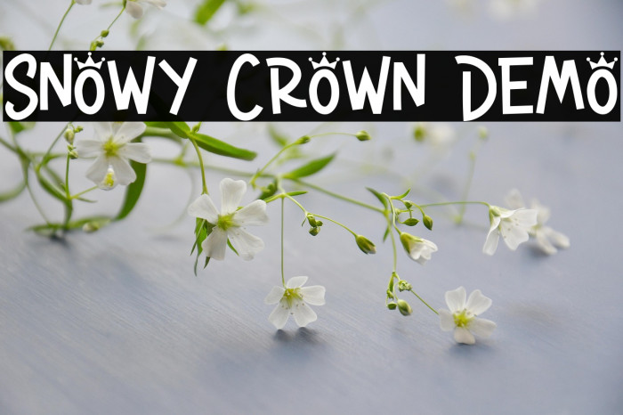 Snowy Crown Demo Example 1