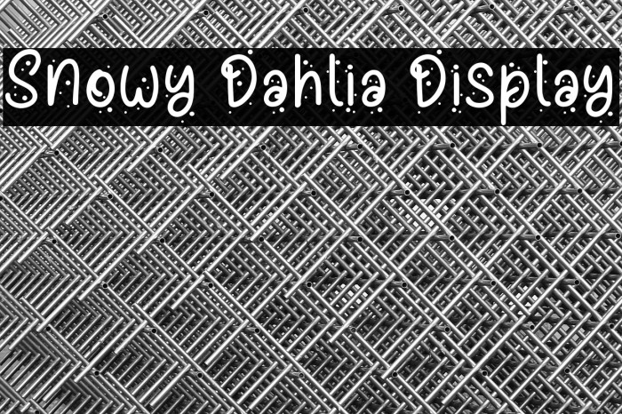 Snowy Dahlia Display Example 2