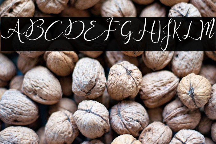 Snowy Holiday Example 2