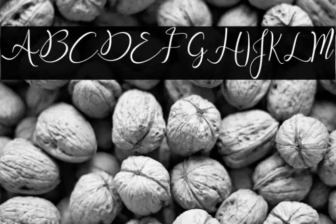 Snowy Holiday Font examples