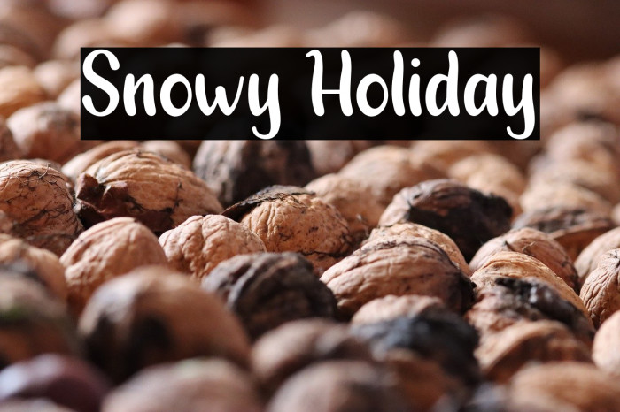 Snowy Holiday Example 1