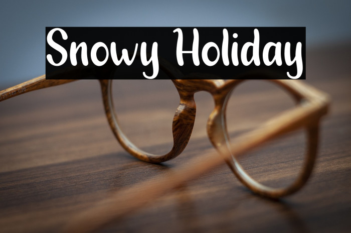 Snowy Holiday Example 2