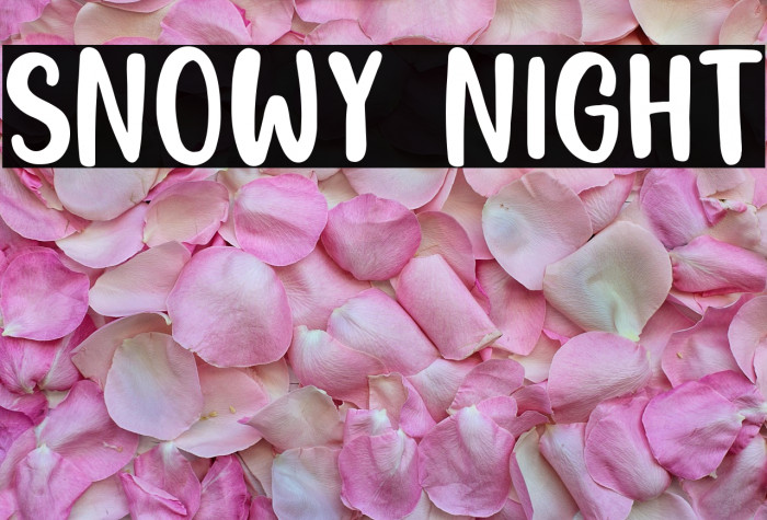 Snowy Night Example 1