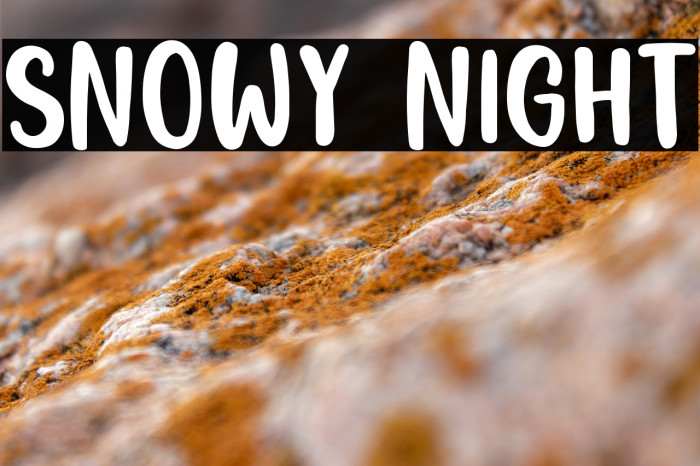 Snowy Night Example 2