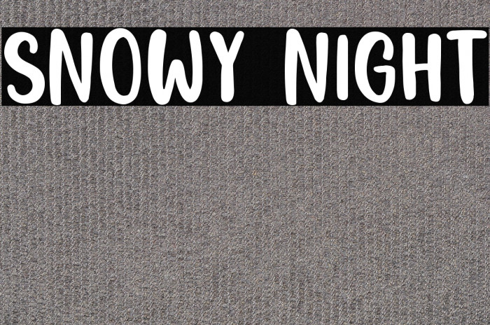 Snowy Night Example 3