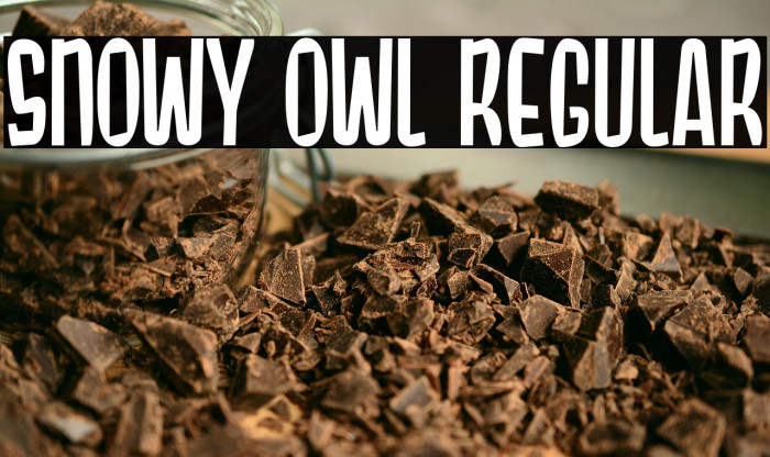 Snowy Owl Regular Example 1
