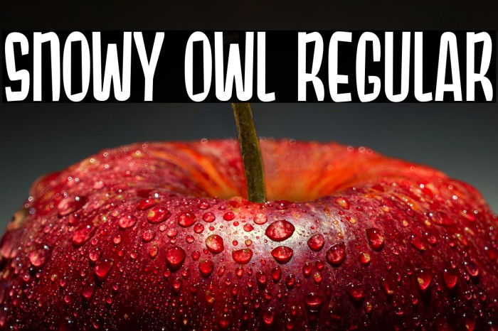 Snowy Owl Regular Example 2