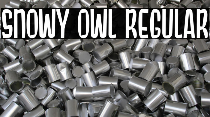 Snowy Owl Regular Example 3