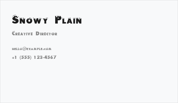 Snowy Plain Business Card